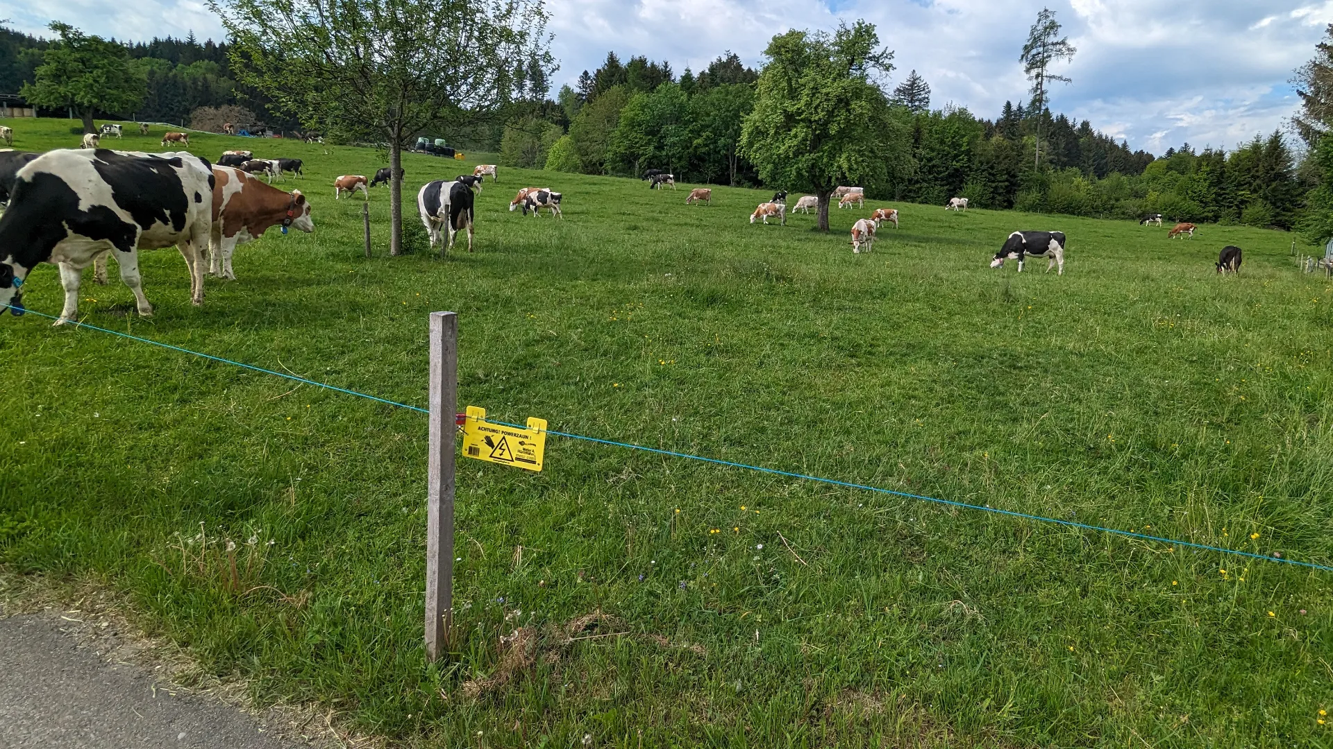 5 Common Causes of Low Voltage in Electric Fences — and the Fast Fix for Each